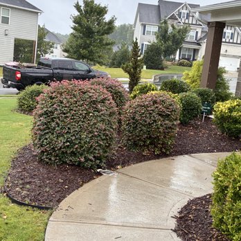 Freshly mulched landscape beds with shrubs along a curved walkway